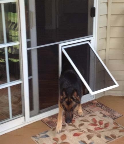 Security boss outlet pet screen door