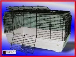 Shelly's Super Spiffy Stuff : Large Indoor Rabbit Hutch
