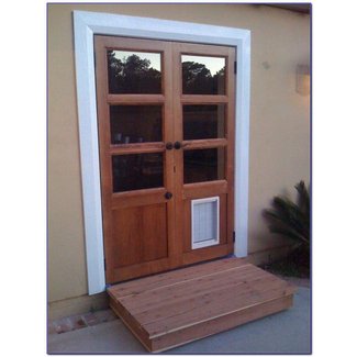 Door With Dog Door VisualHunt Door With Dog Door VisualHunt