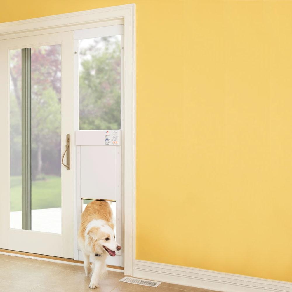 Best Pet Door for Sliding Screen Doors - Secure Patio Sliding Pet