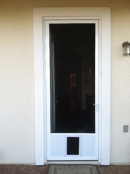 Hinged screen door with pet outlet door