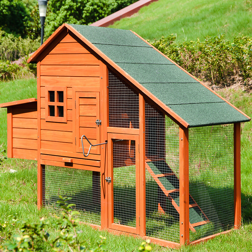 5 Expert Tips To Choose A Chicken Coop - VisualHunt