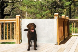 Dog Gate For Stairs