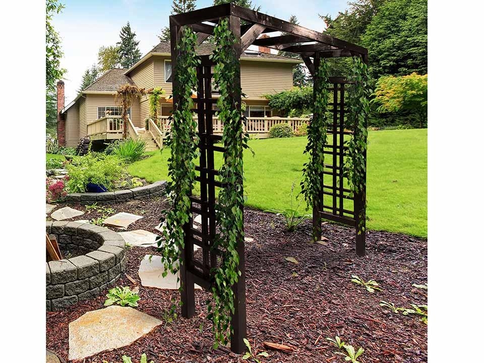 3 Expert Tips To Choose An Arbor - VisualHunt