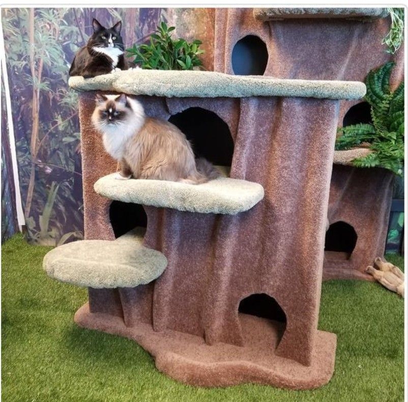 Candied Truffle Carpet Cat Condo