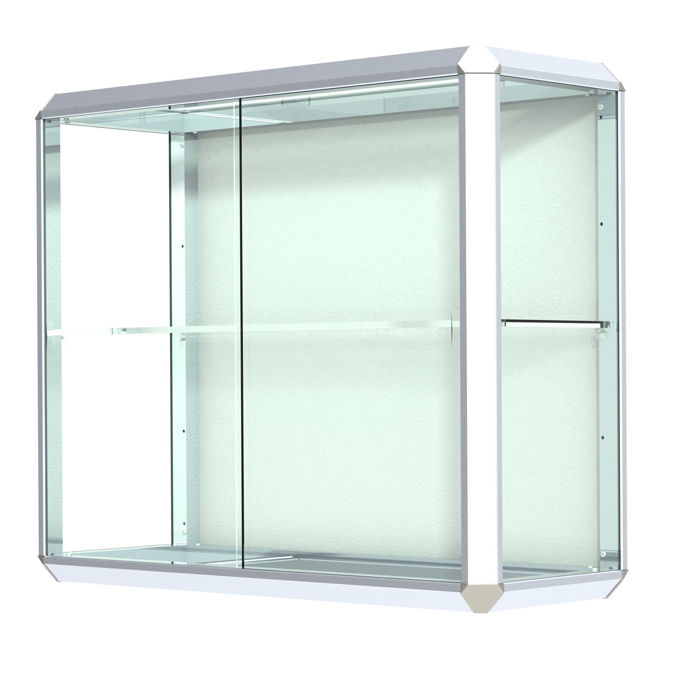 Chrome Metal Glass Wall Display Case