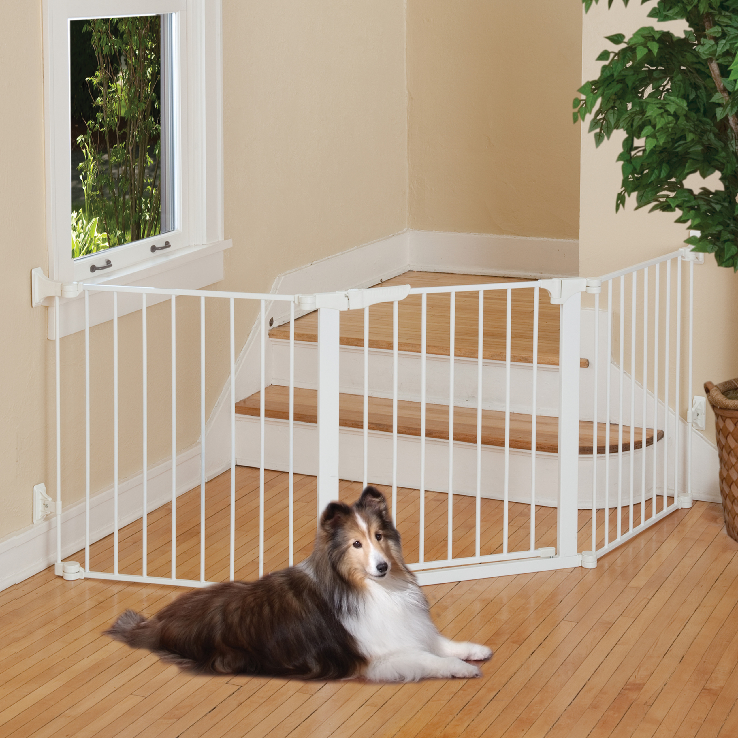 3 Expert Tips To Choose Pet Gates VisualHunt