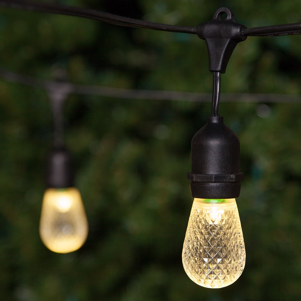 Elegant Modern Standard String Light