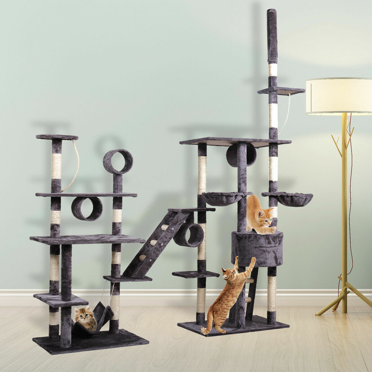 3 Expert Tips To Choose A Cat Tree And Condo VisualHunt