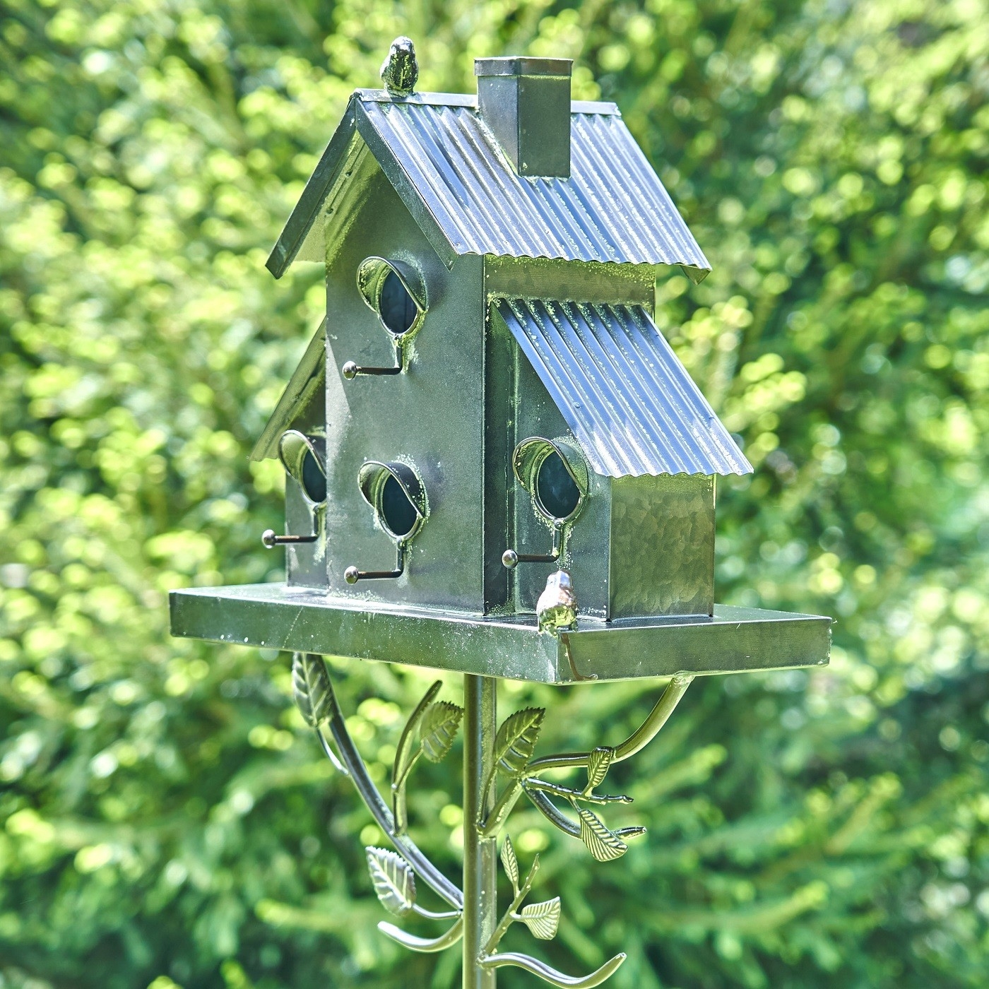 4 Expert Tips To Choose A Bird House VisualHunt