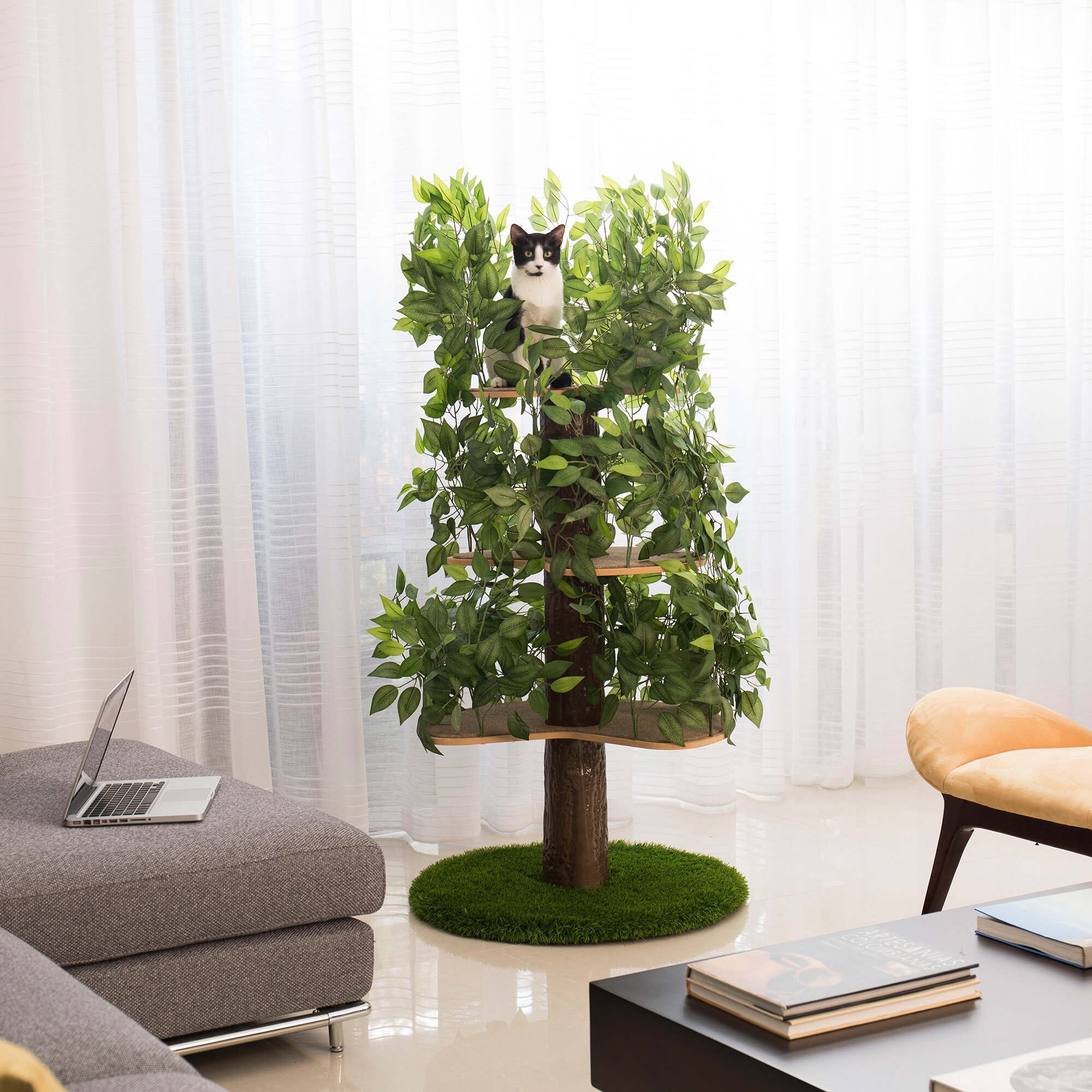 3 Expert Tips To Choose A Cat Tree And Condo VisualHunt