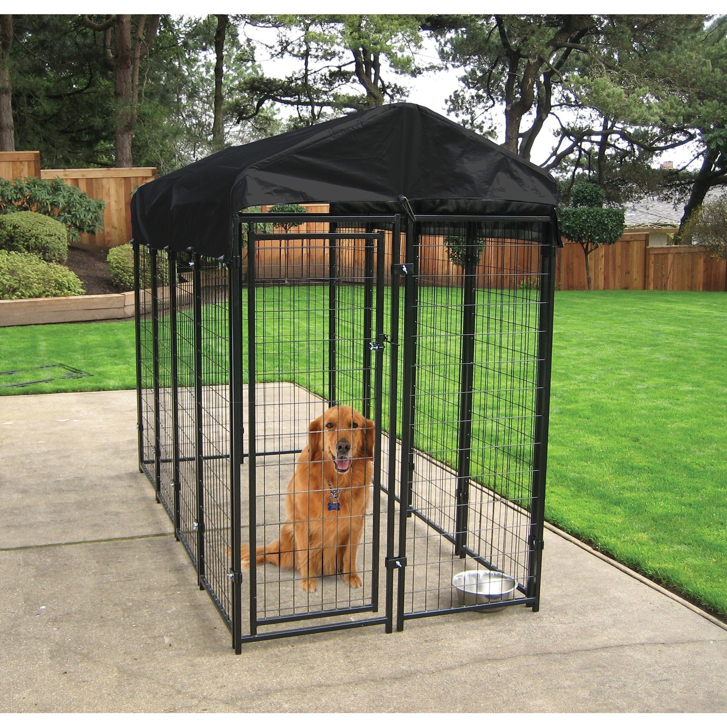 4 Expert Tips To Choose A Dog Kennel - VisualHunt