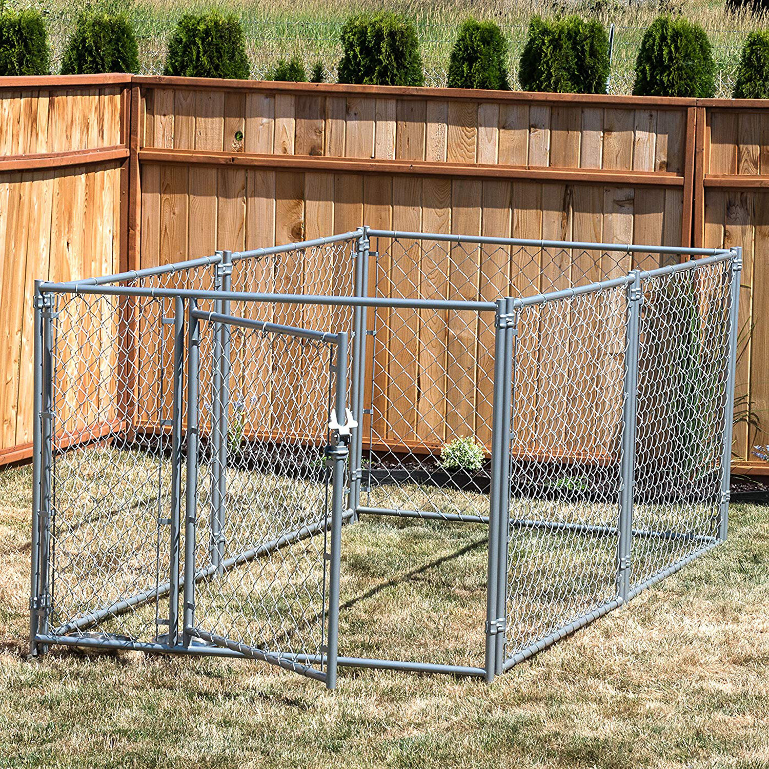 4 Expert Tips To Choose A Dog Kennel - VisualHunt