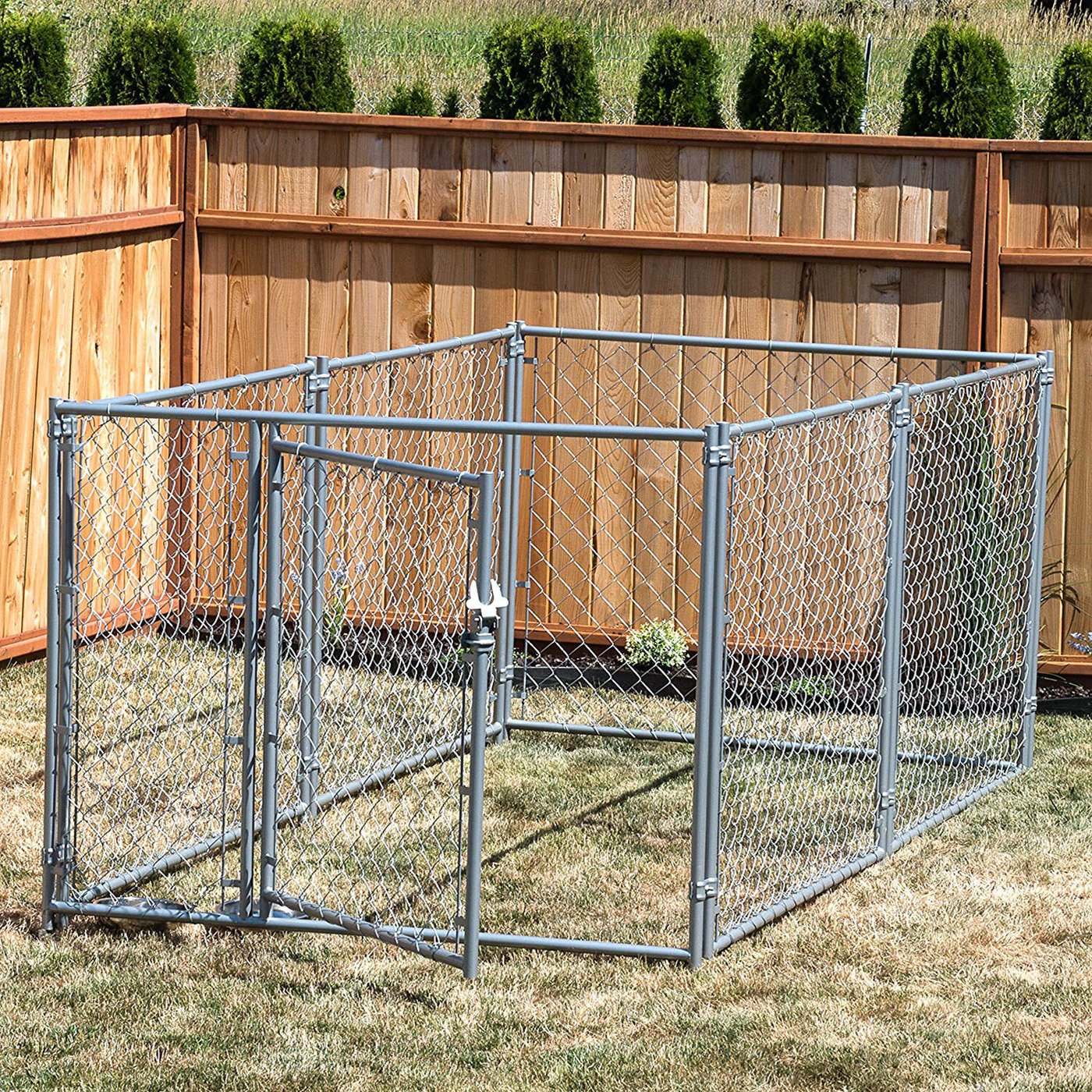 4 Expert Tips To Choose A Dog Kennel VisualHunt