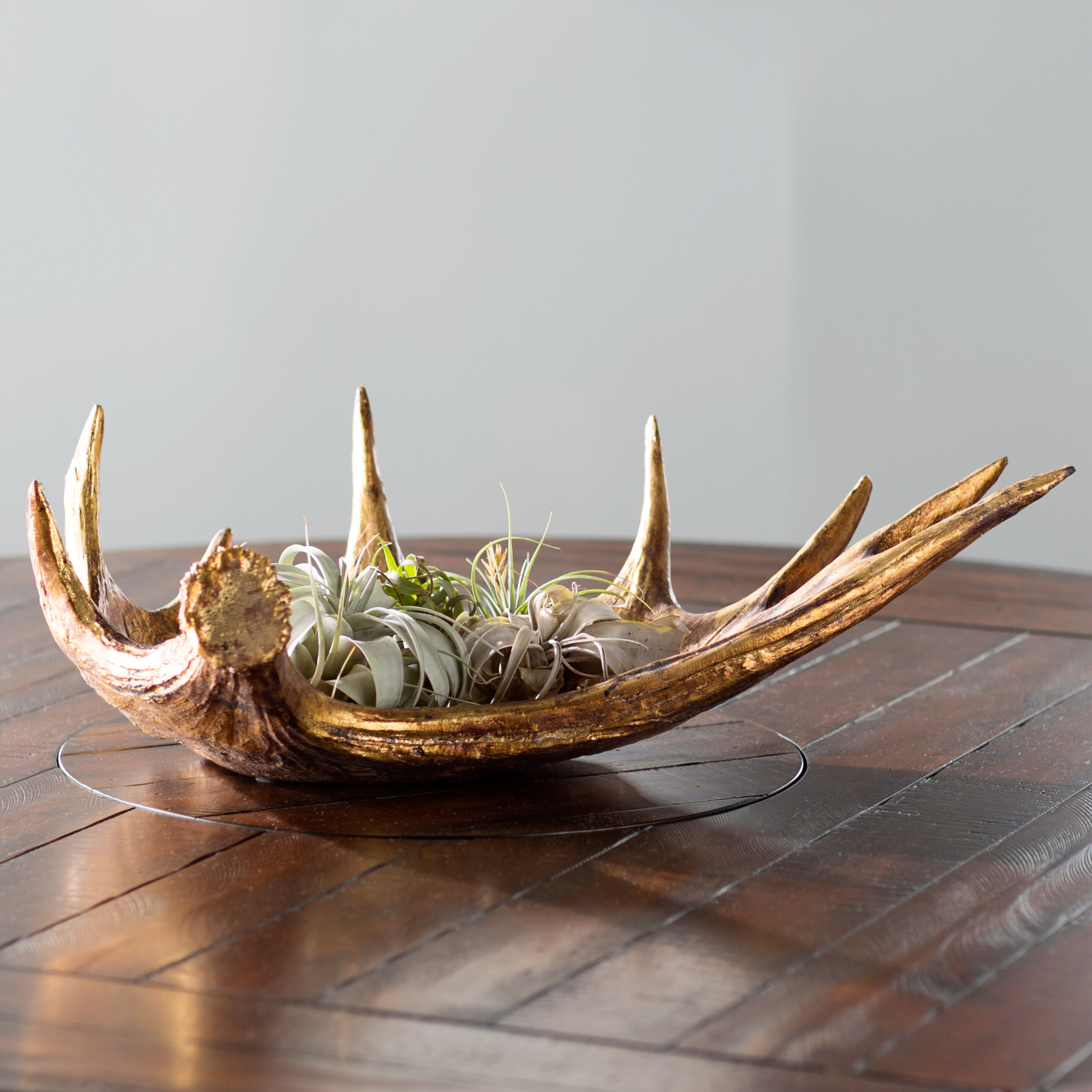 Moose Antler Decorative Bowl for Plants