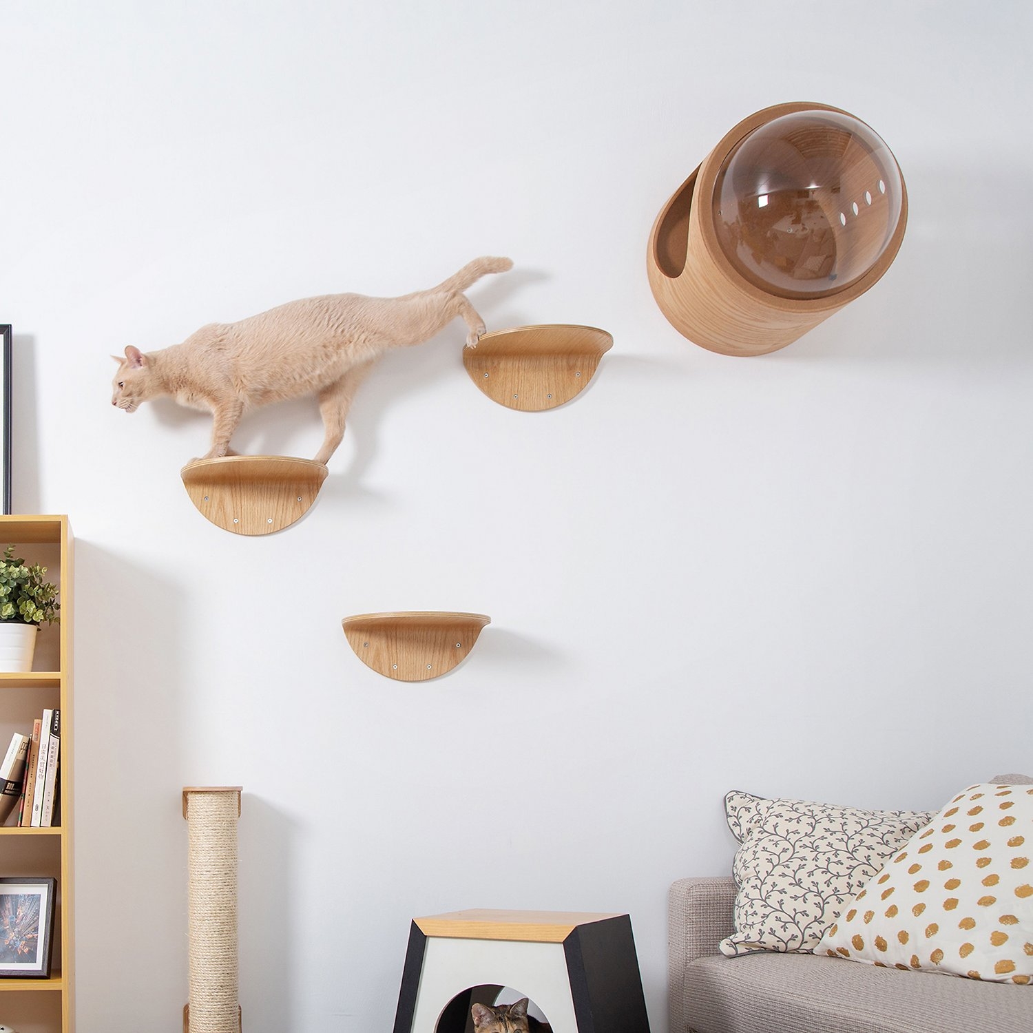 3 Expert Tips To Choose A Cat Tree And Condo VisualHunt