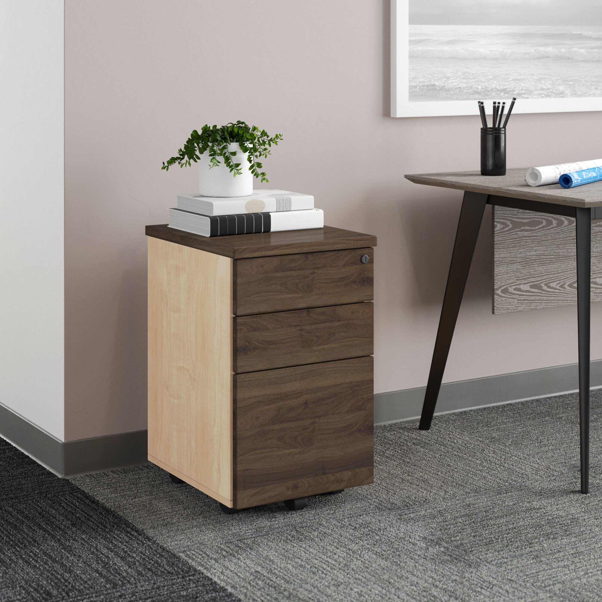 Plastic Filing Cabinet in Brown