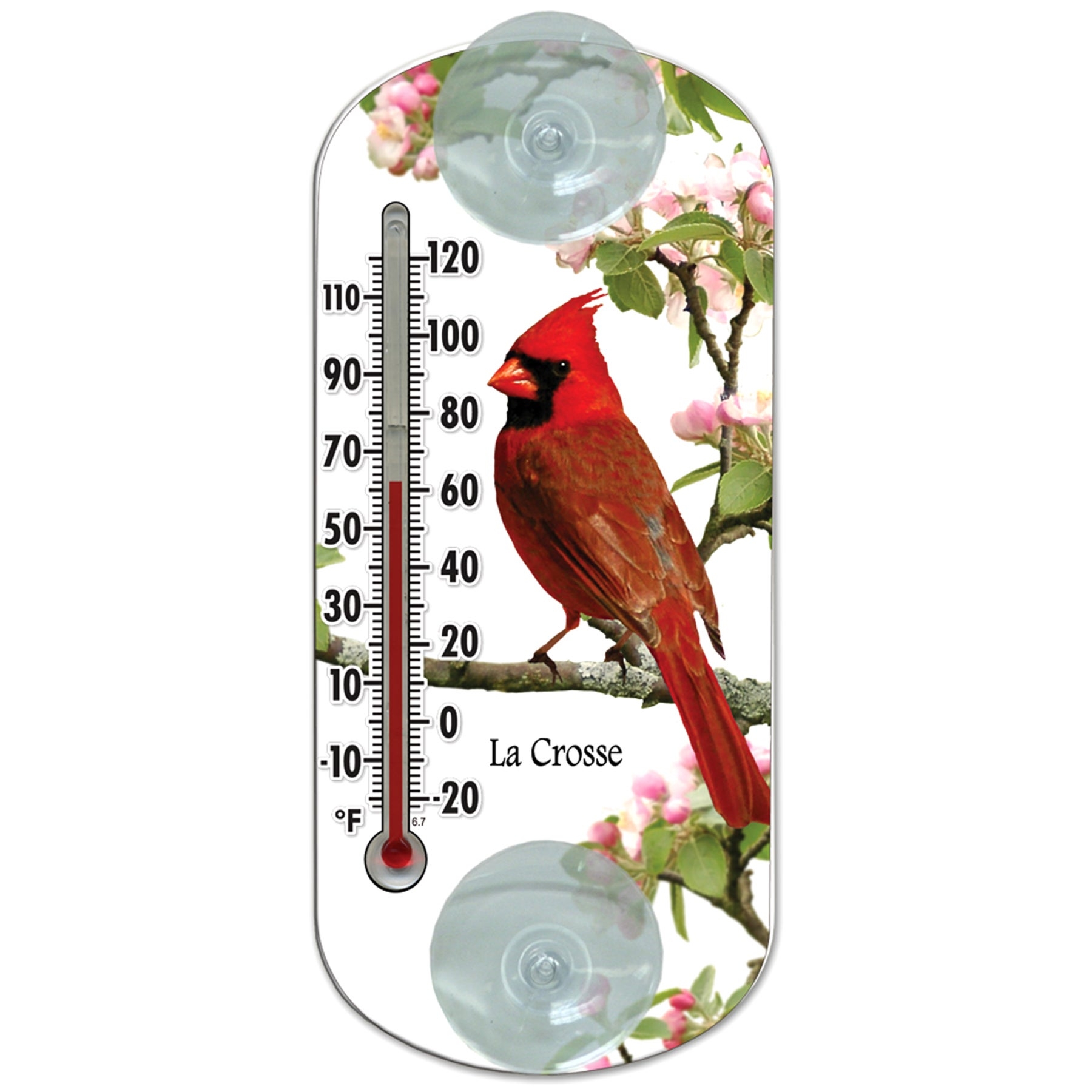 Plastic Tube Outdoor Thermometer