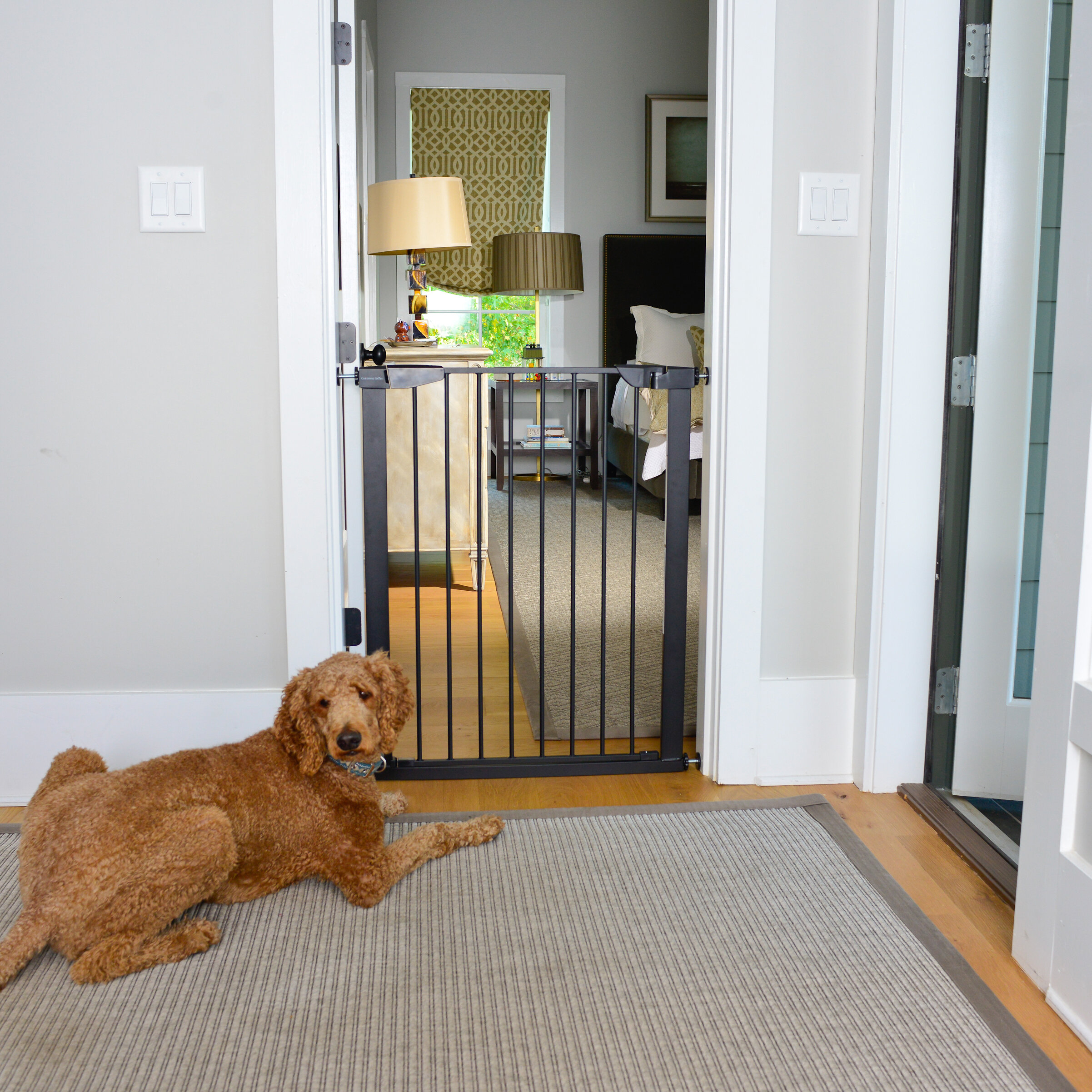 3 Expert Tips To Choose Pet Gates