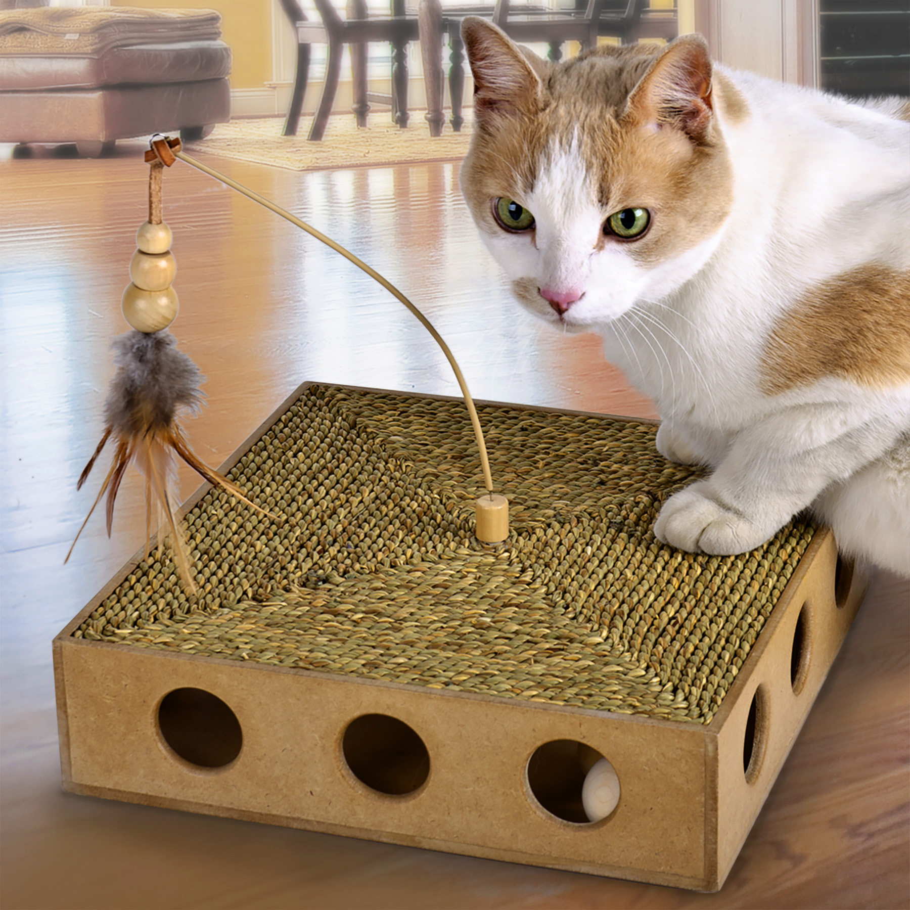 Expert Tips To Choose A Cat Scratcher And Scratching Post VisualHunt