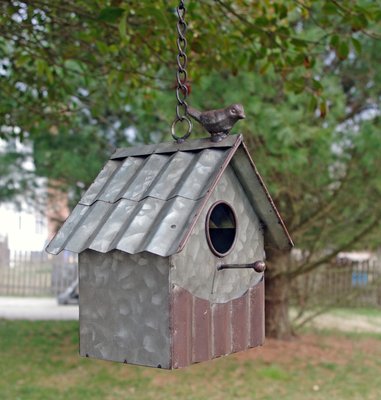 4 Expert Tips To Choose A Bird House - VisualHunt