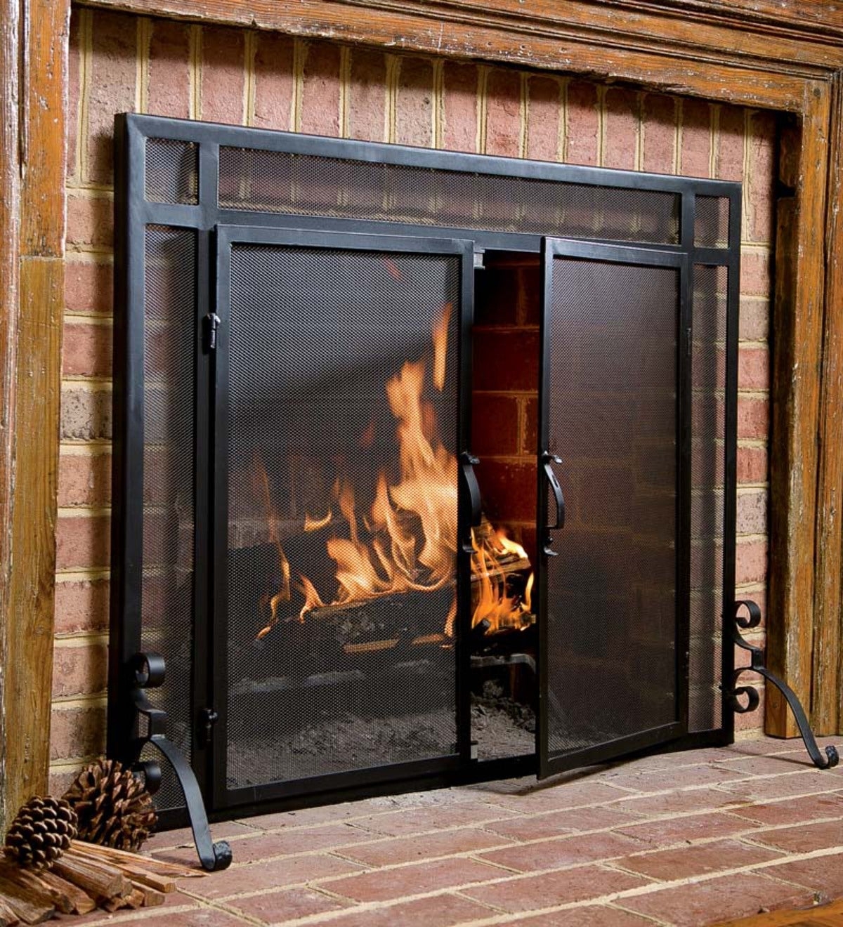 Single Panel Door Fireplace Screen