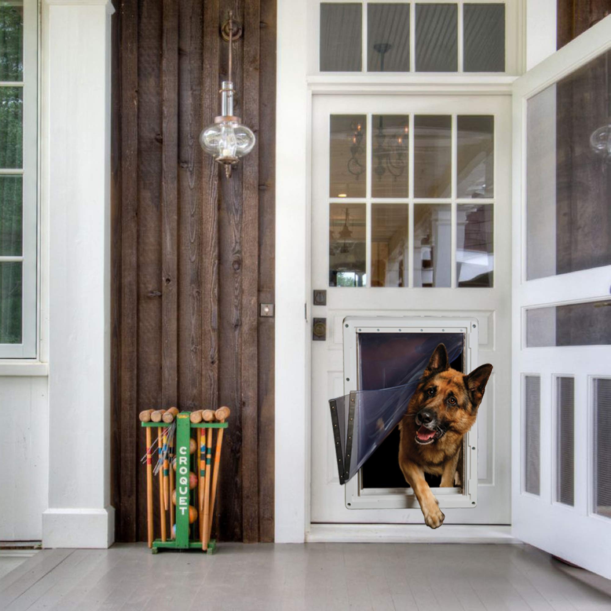 6 Expert Tips To Choose A Pet Door VisualHunt