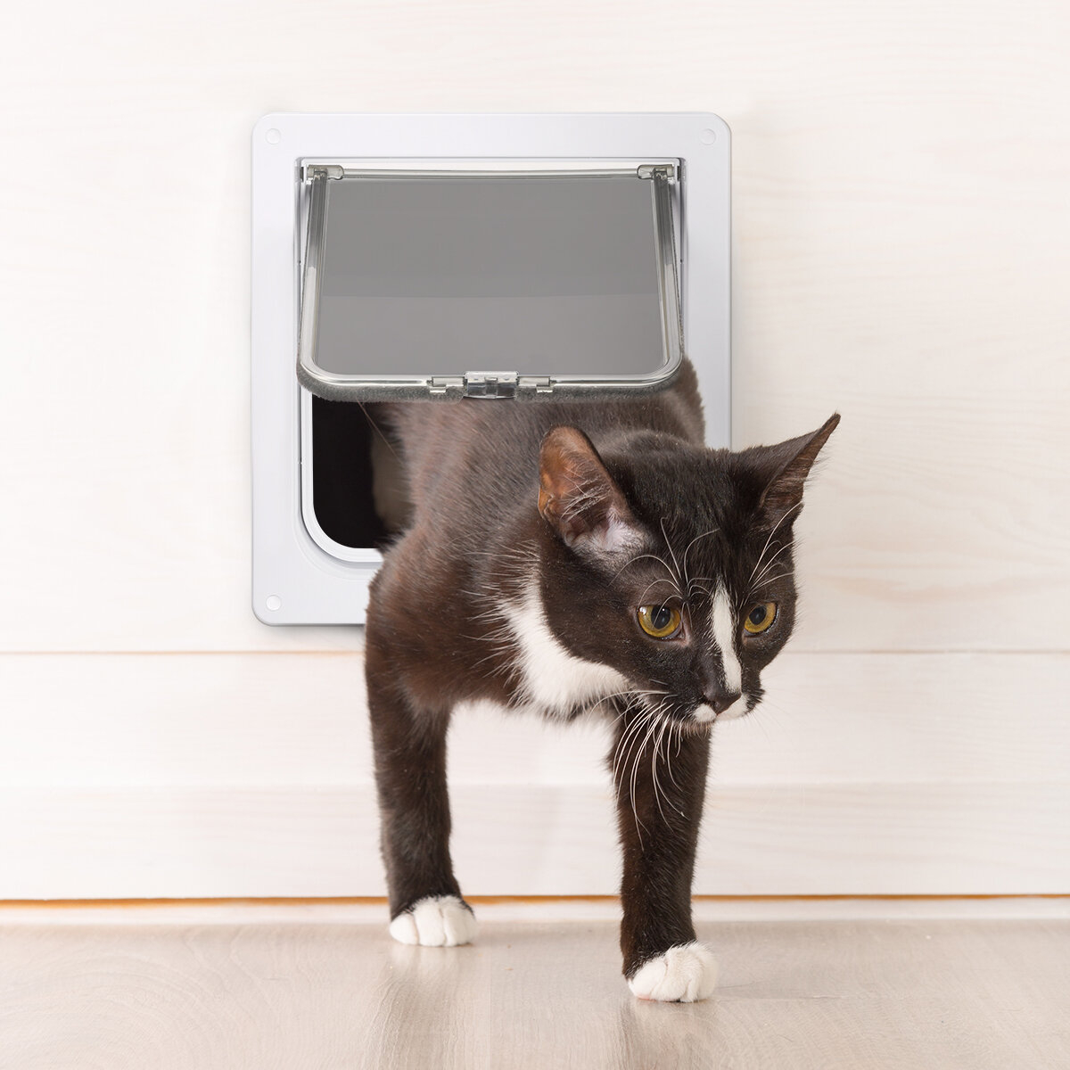 6 Expert Tips To Choose A Pet Door VisualHunt