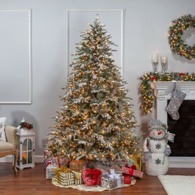 3 Expert Tips To Choose A Real Christmas Tree - VisualHunt