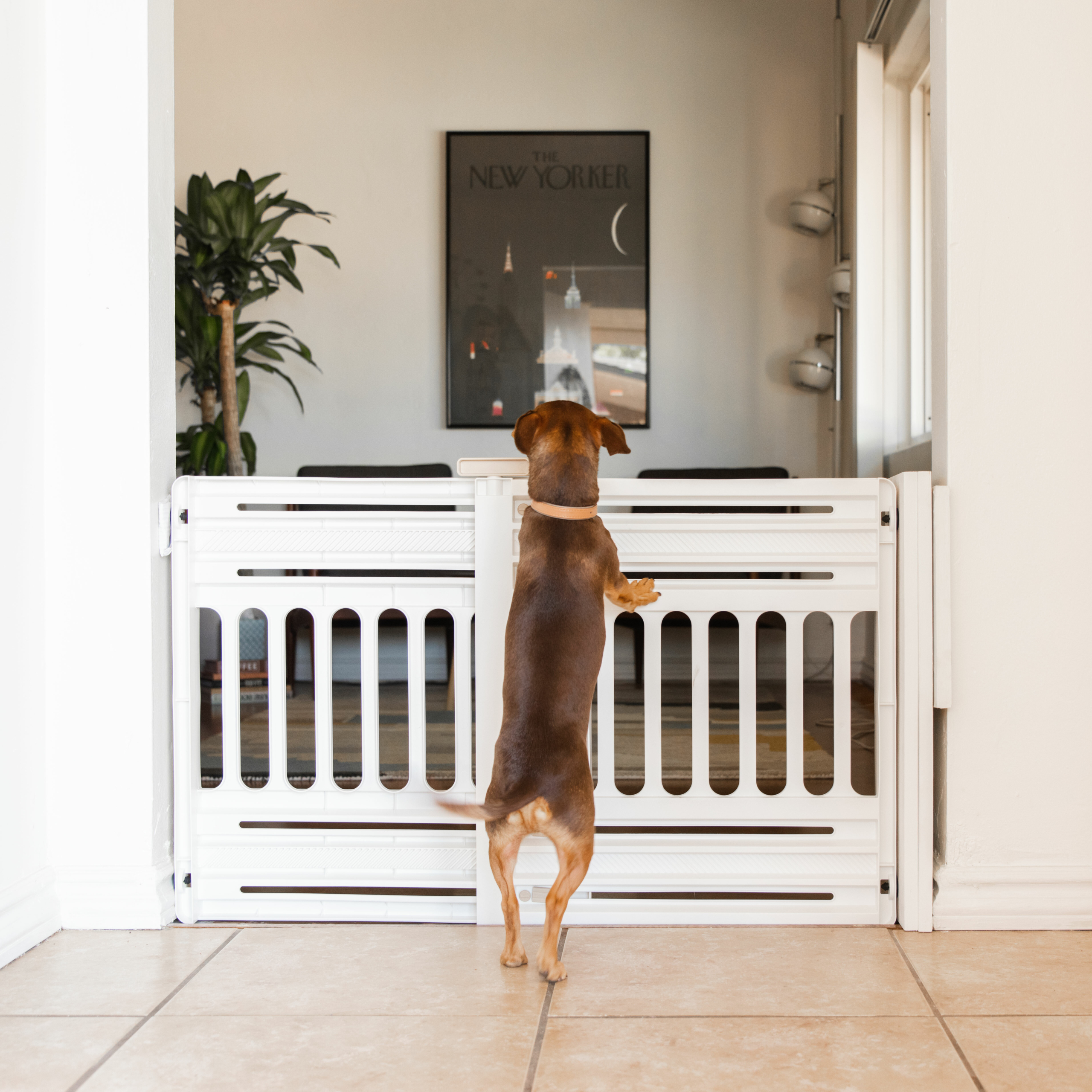 White Plastic Free Standing Pet Gate