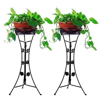 Plant & Flower Stands