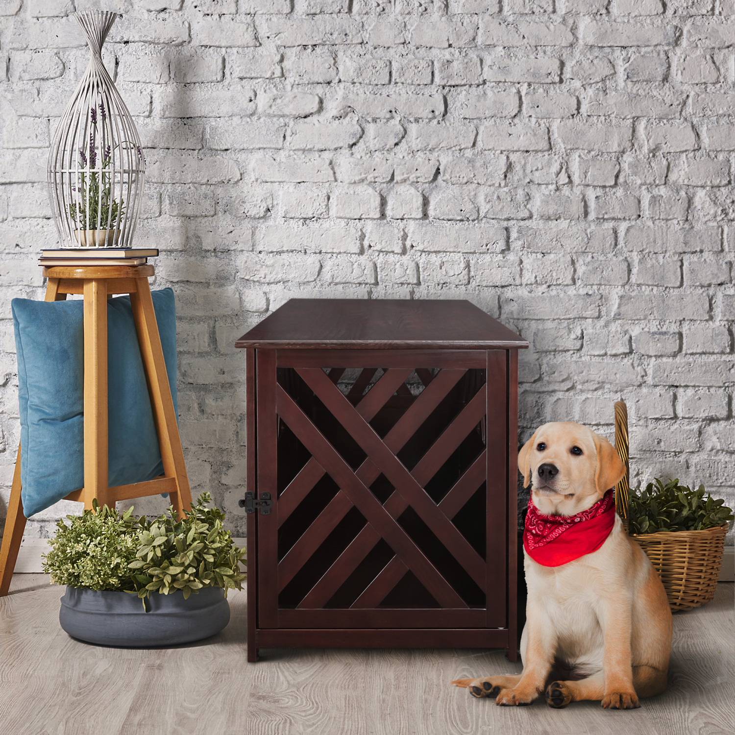 internet's best decorative dog kennel