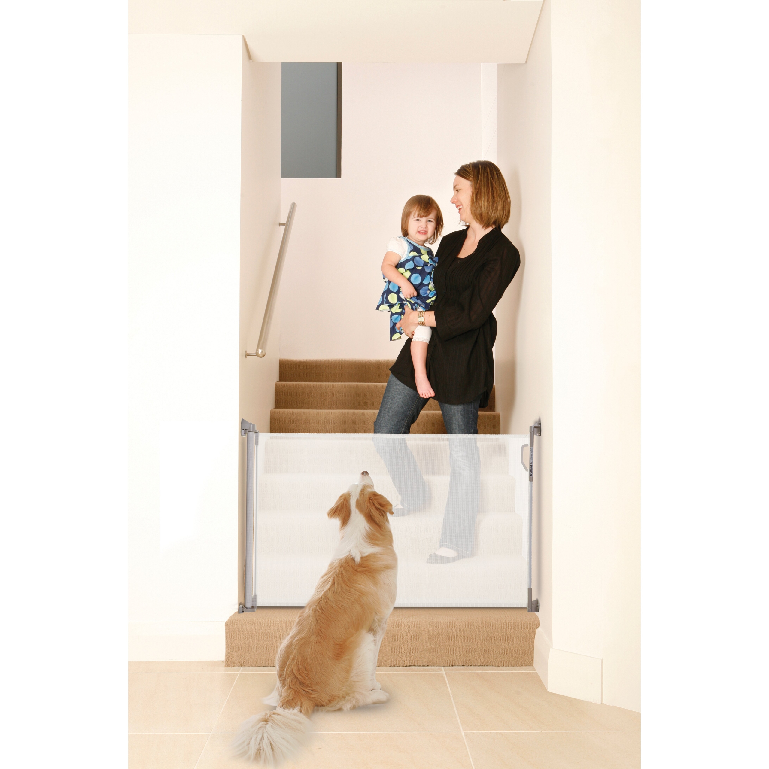 Dreambaby Indoor/Outdoor Retractable Gate & Reviews | Wayfair