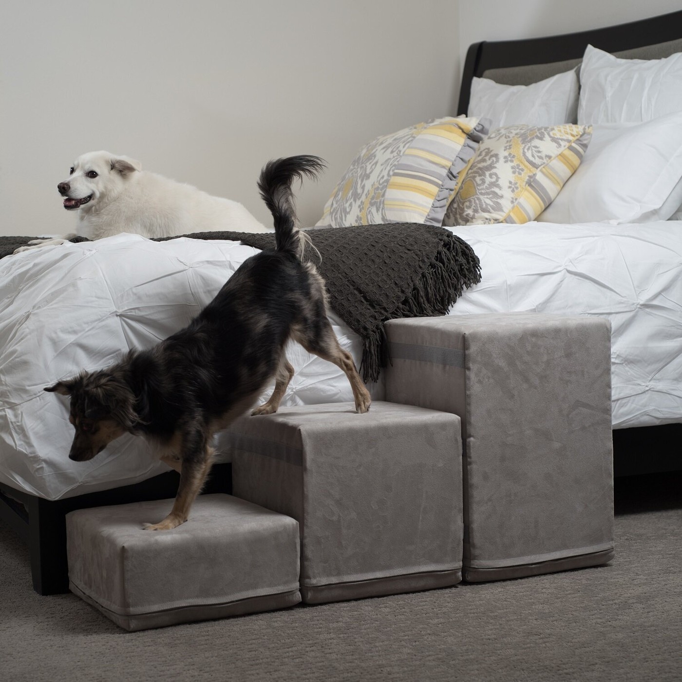 Dog Stairs for Tall Bed - VisualHunt