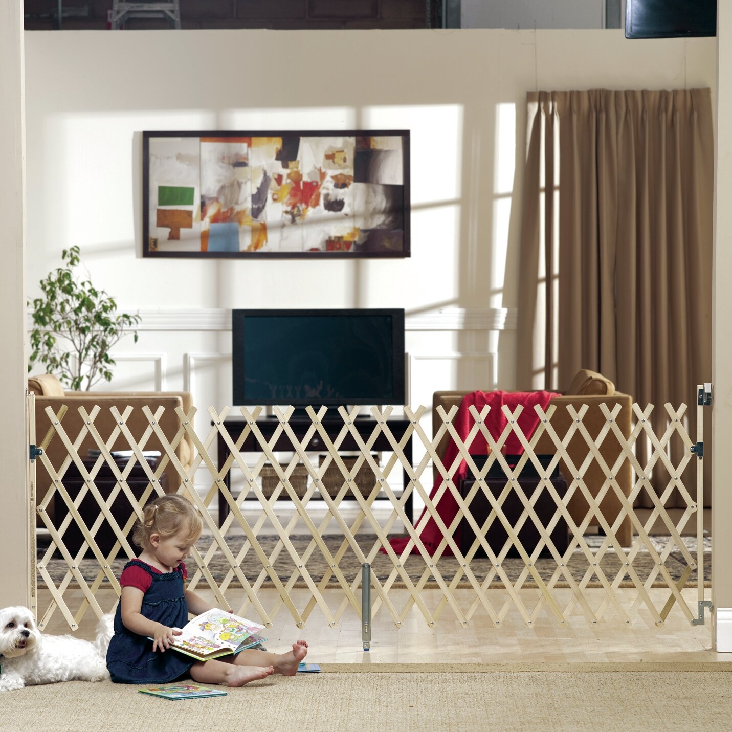 GMI Gates Keepsafe Wood Expansion Pet Gate & Reviews |