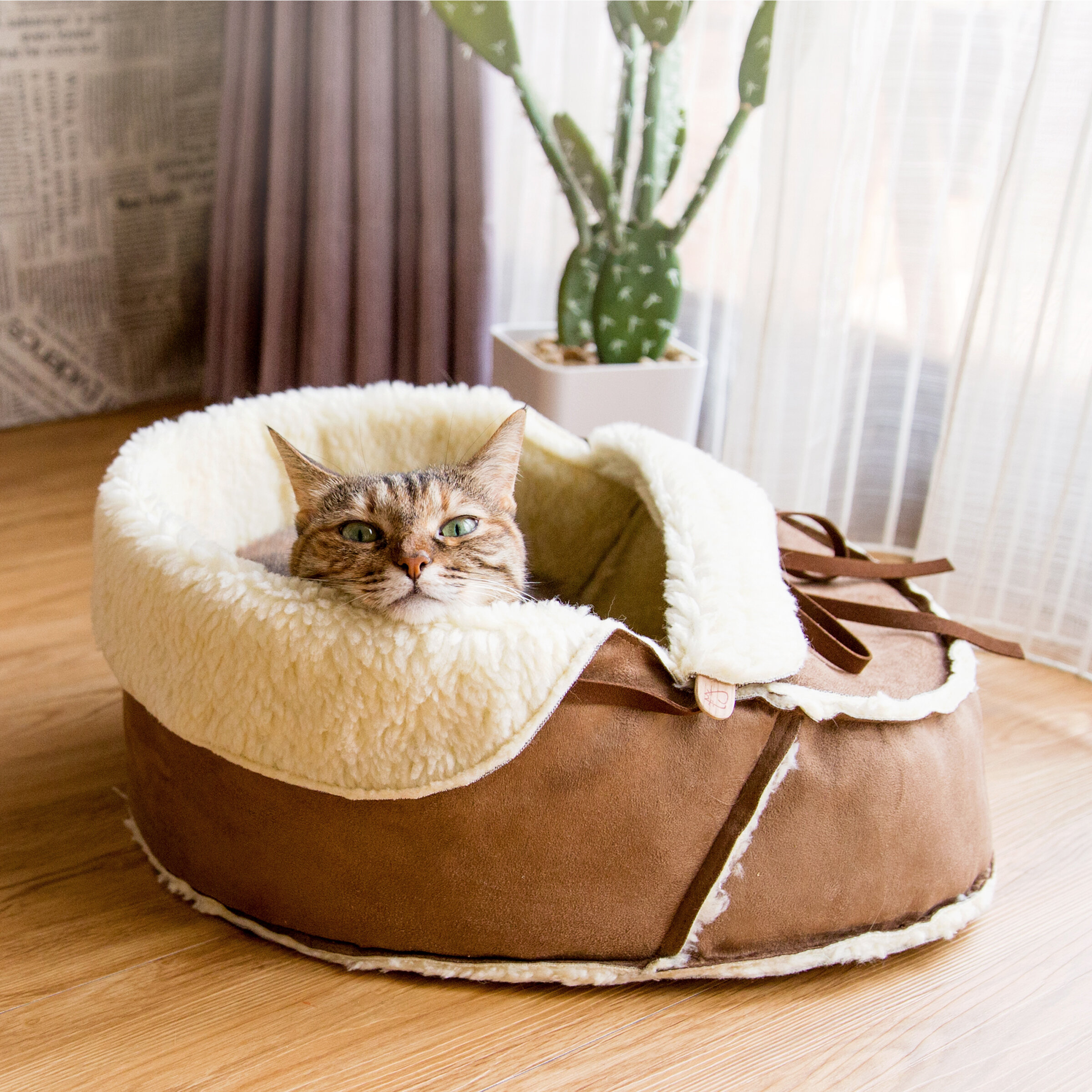 Hooded & Dome Cat Beds You'll Love in 2019 |