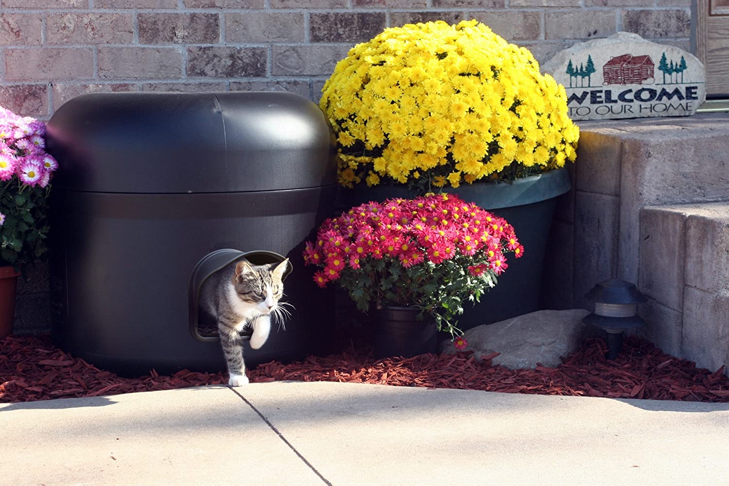 Outdoor Cat Beds VisualHunt