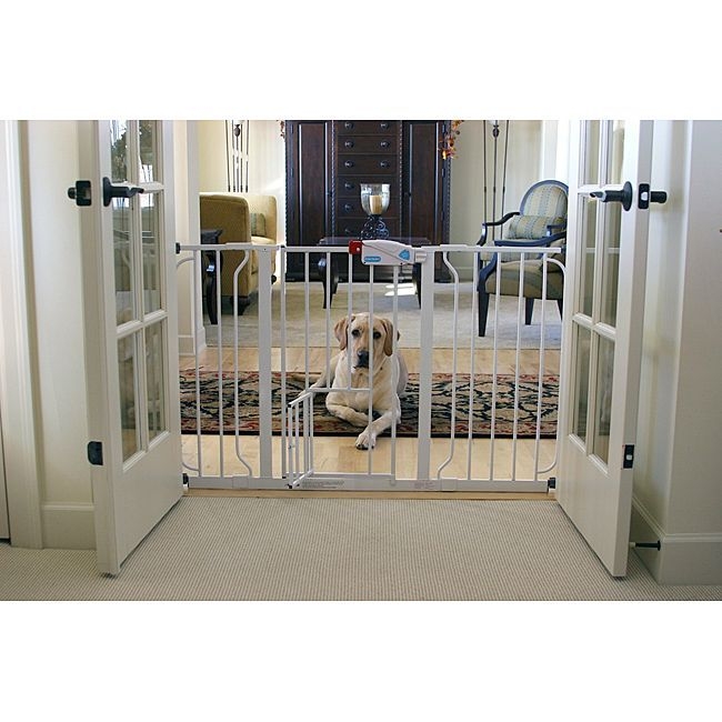 Pet & Dog Gates You'll Love | Wayfair