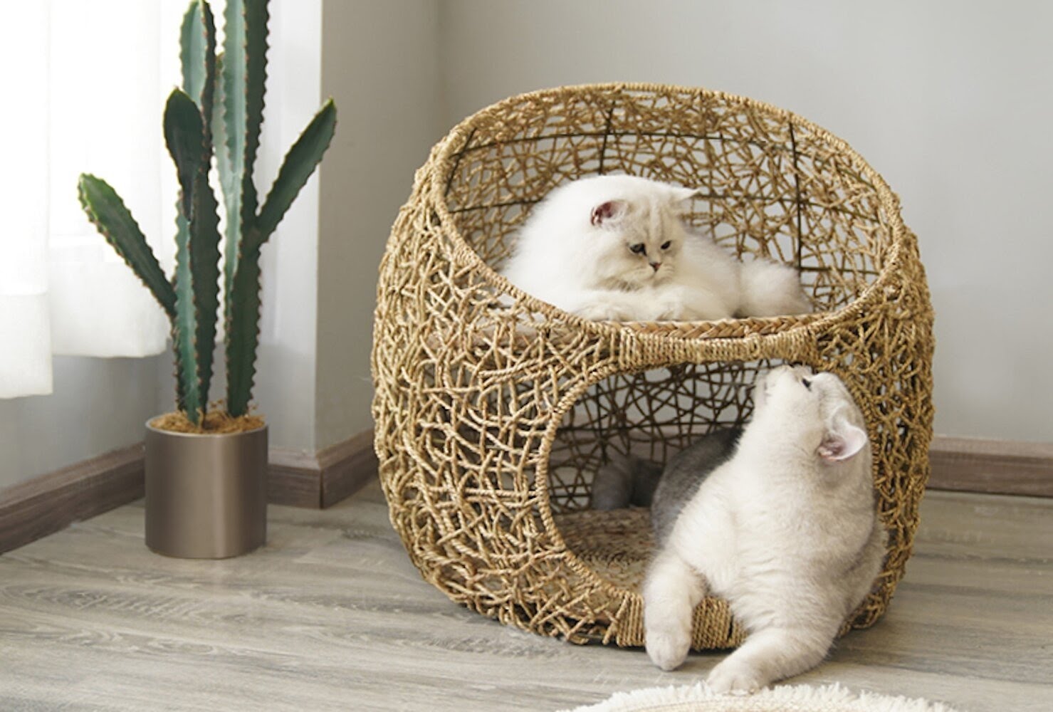 Bedding for outdoor cats sale