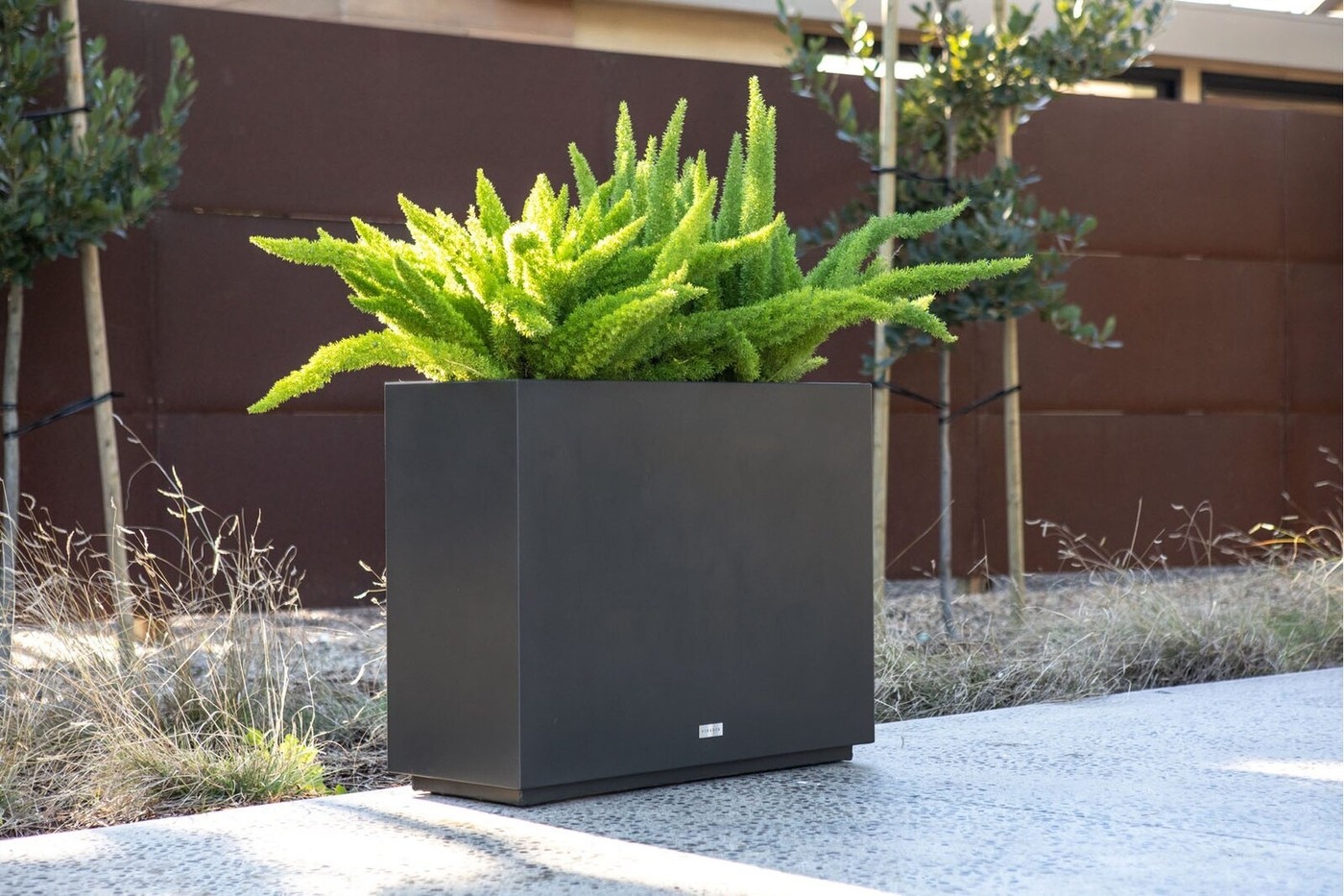 Modern Span Box Planter