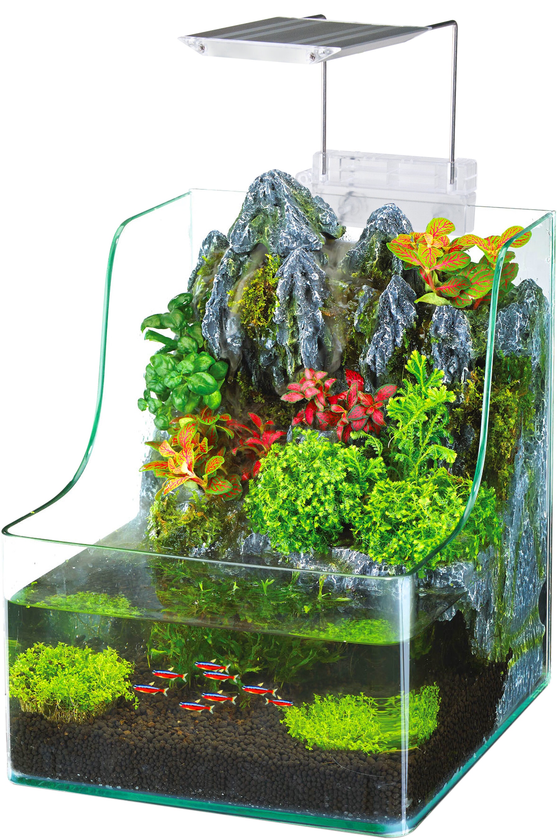 1 Gallon AquaTerrium™ Aquarium Tank
