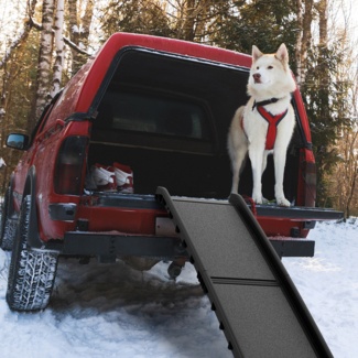 Bi-Fold 61" Pet Ramp