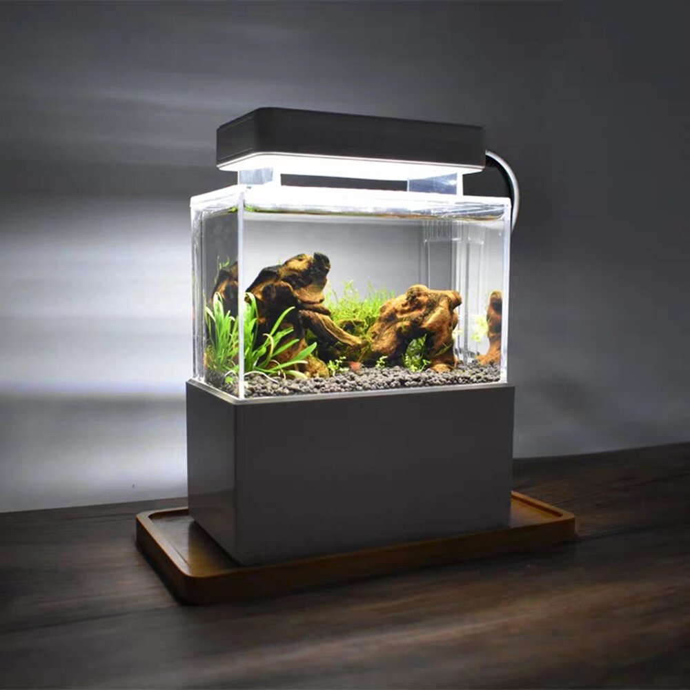 Divina Rectangle Aquarium Tank