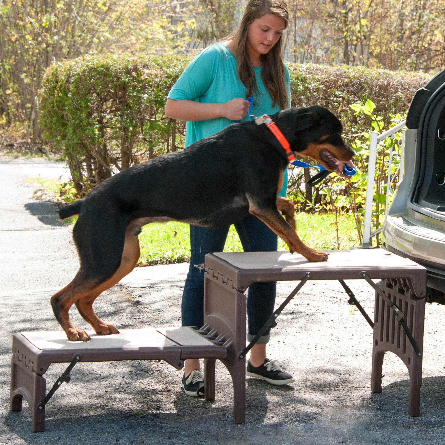 Free Standing Foldable 2 Step Pet Stair