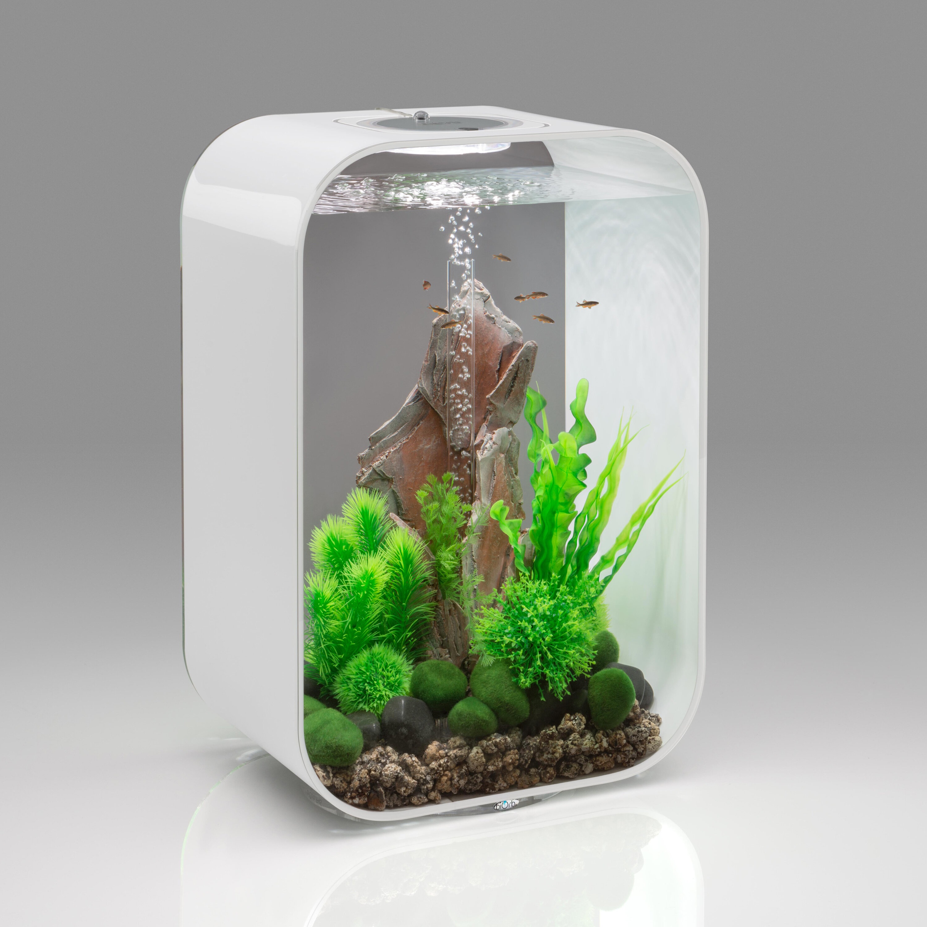 Life Rectangle Aquarium Tank