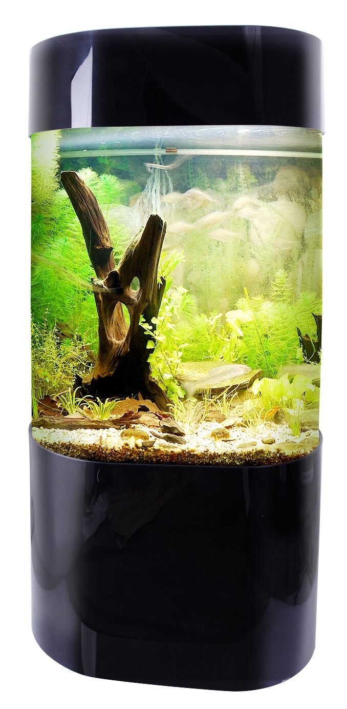 Nolen 35 Gallon Aquarium Tank