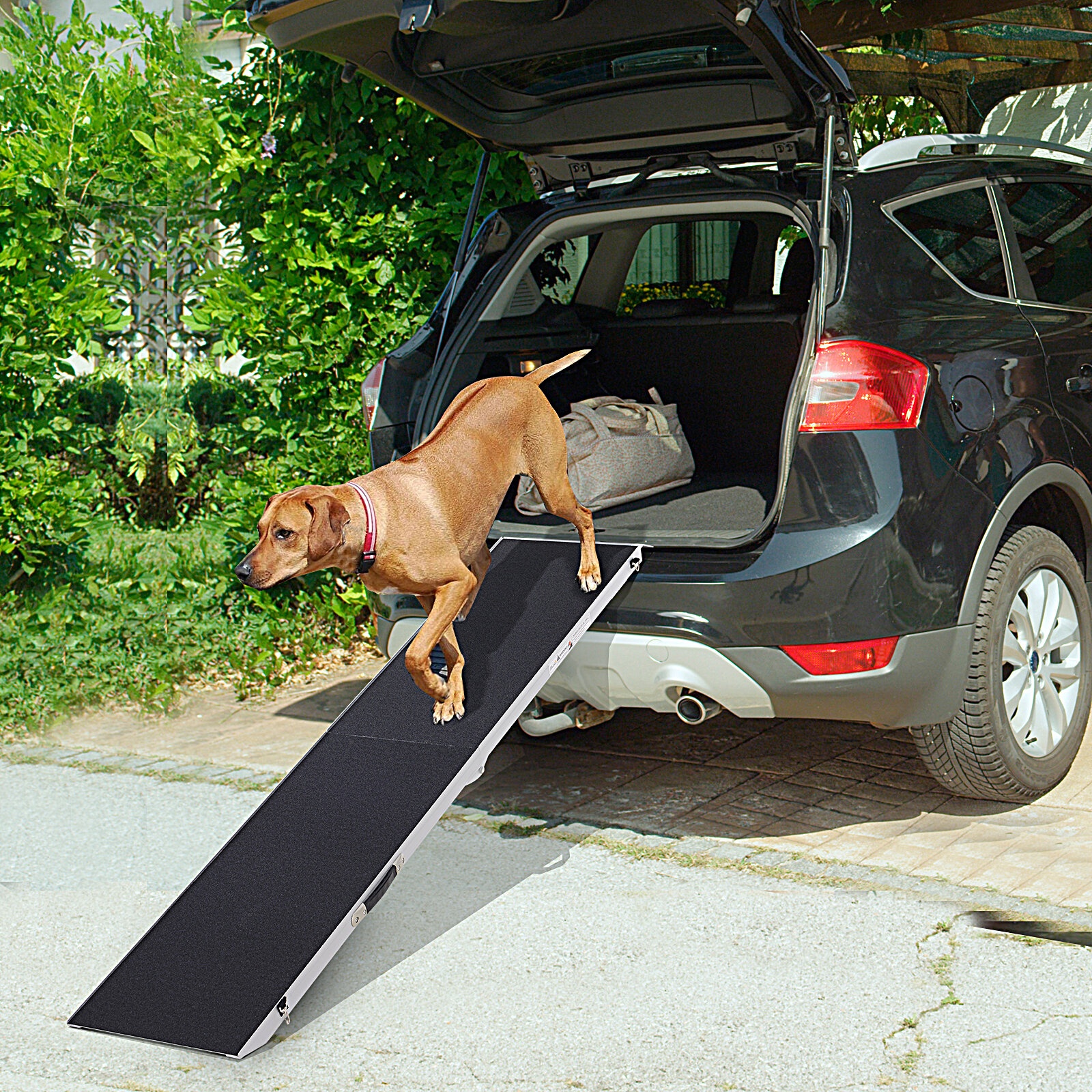 Outdoor Dog Ramp - VisualHunt