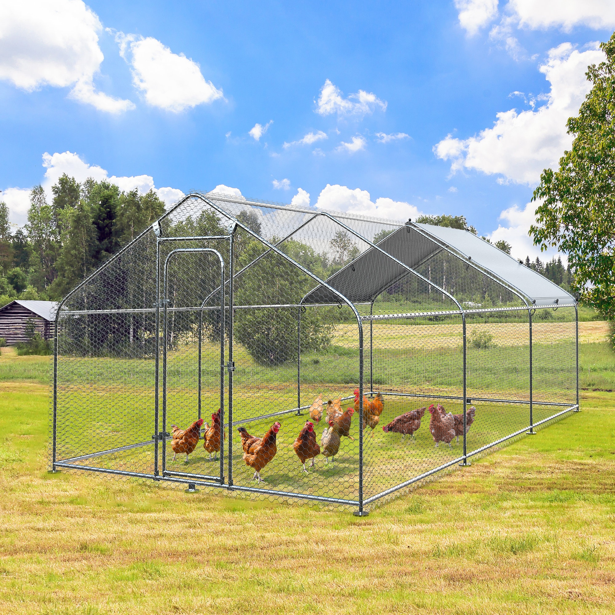 193 Square Feet Chicken Coop