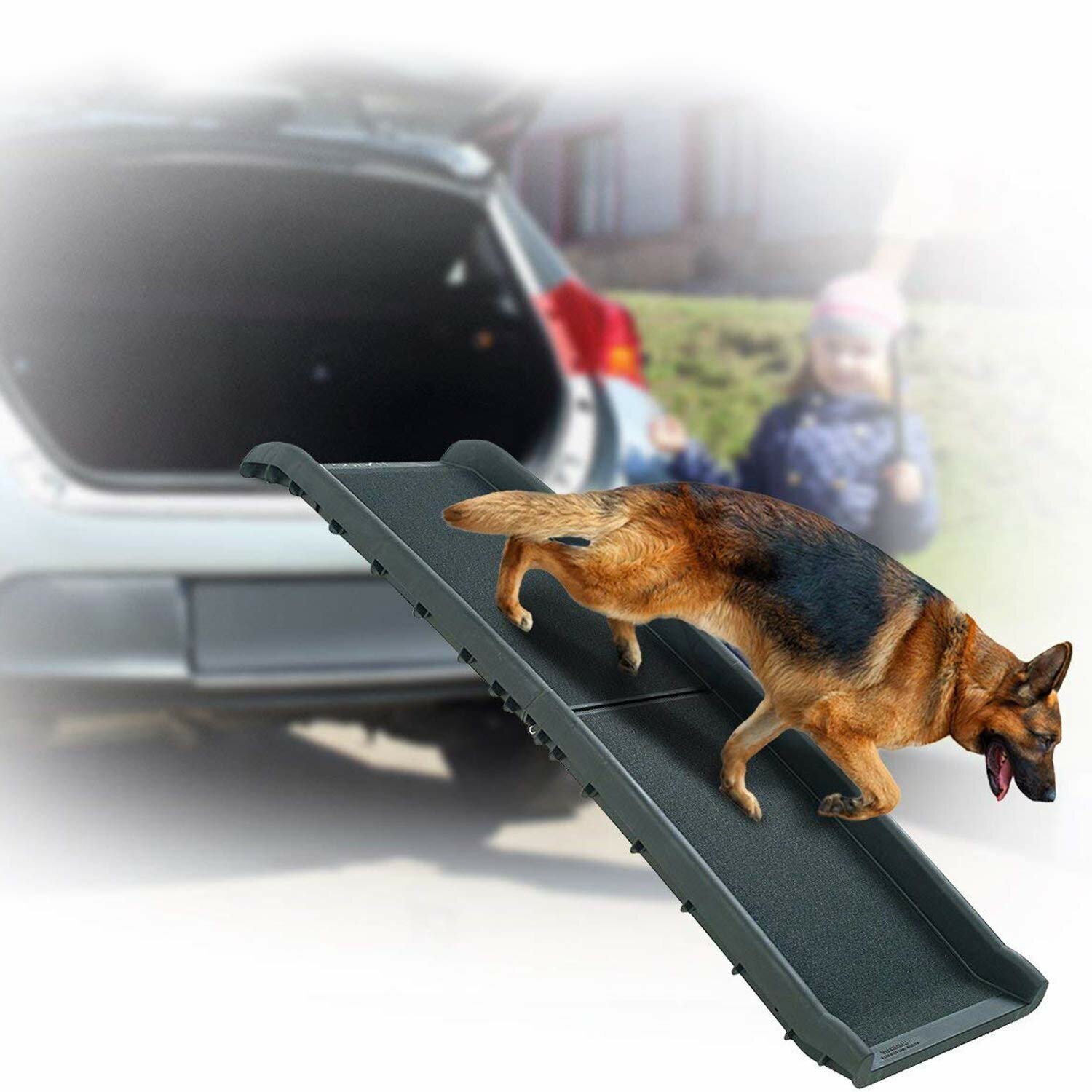 Outdoor Dog Ramp - VisualHunt