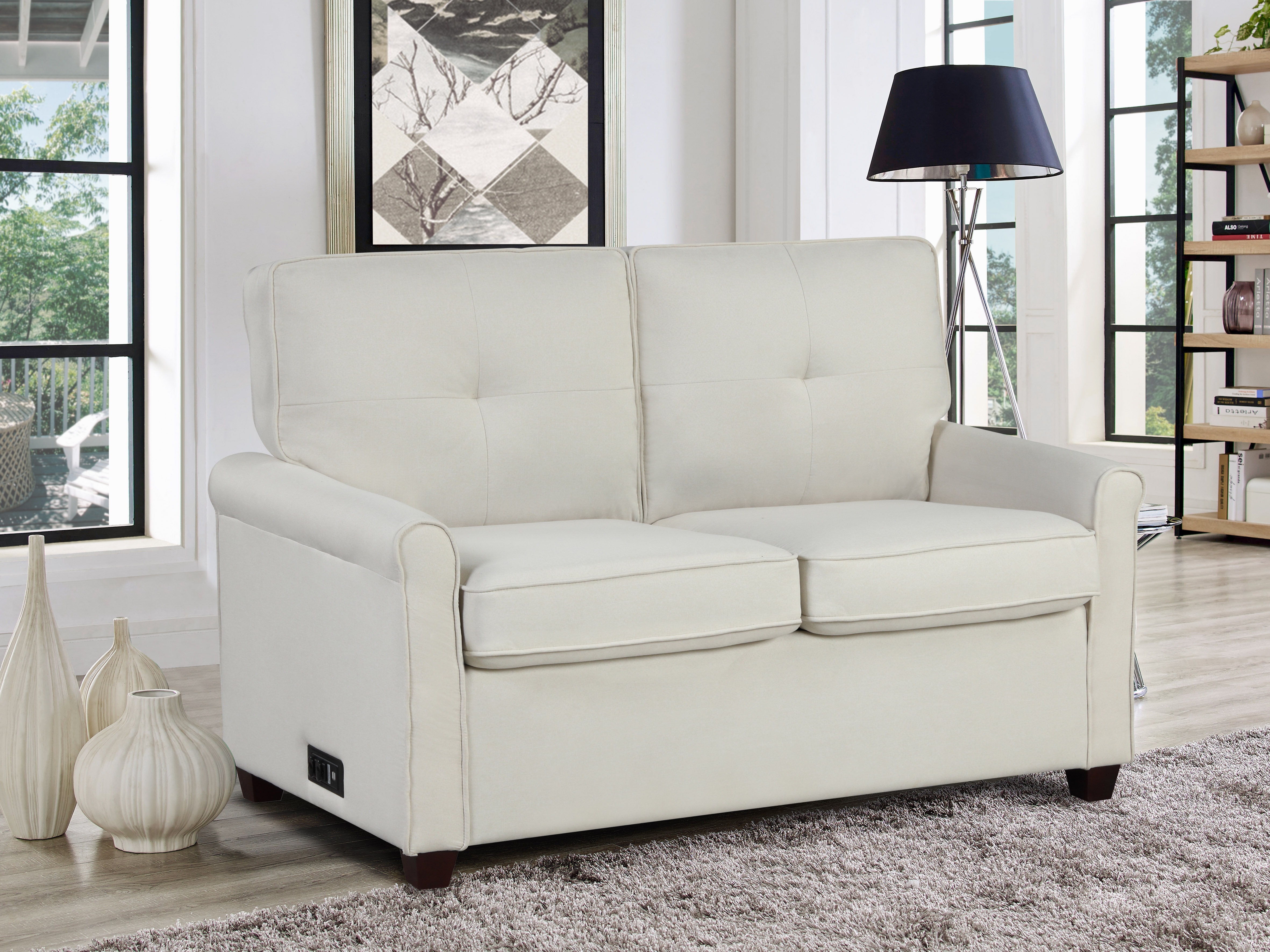 Akeem 54.3" Tufted Back Pull-Out Sleeper Sofa